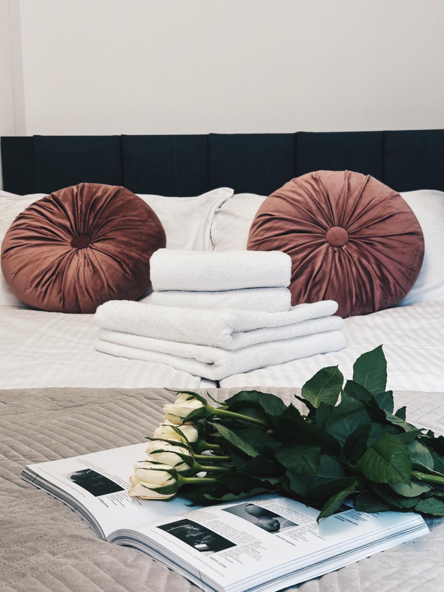 Soft Loft Apartamenty Torun Luaran gambar